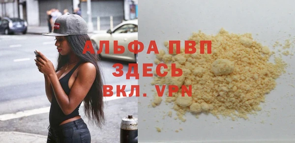 дживик Белокуриха
