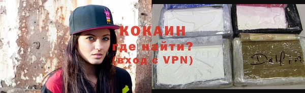 дживик Белокуриха