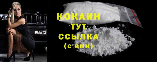 дживик Белокуриха