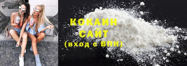 дживик Белокуриха