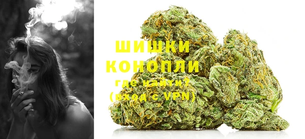 дживик Белокуриха