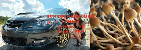 СК Беломорск