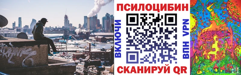 hydra зеркало  даркнет сайт  Высоковск  Галлюциногенные грибы Magic Shrooms 